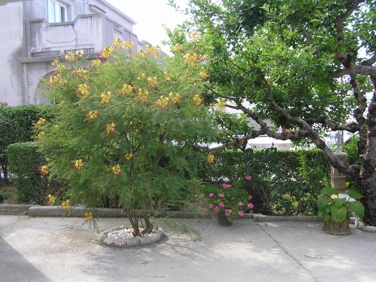 Apartments With A Parking Space Supetarska Draga - Donja, Rab - 15999 エクステリア 写真